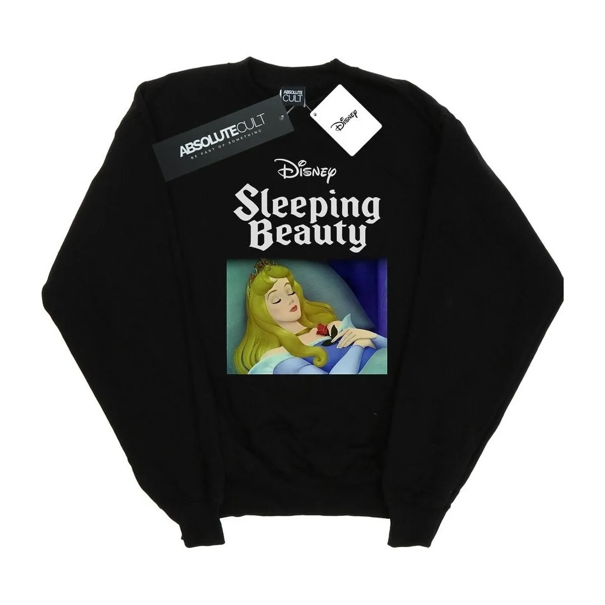 Sleeping Beauty Aurora